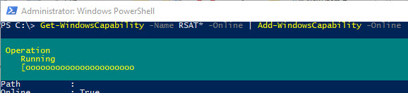 Add-WindowsCapability install rsat using powershell