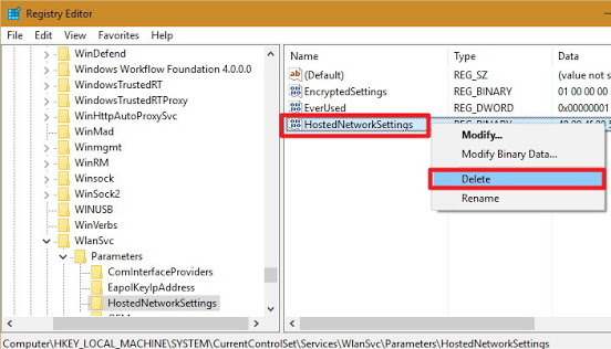 HostedNetworkSettings registry setting