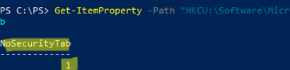 NoSecurityTab registry parameter