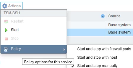 start tsm-ssh automatically on esxi